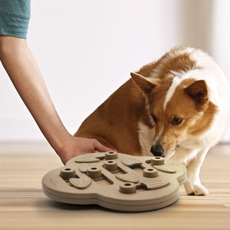 Nina Ottosson De Puzzle Pour Chien Dog Hide N' Slide - Interactif/Ă Friandises - Marron Clair