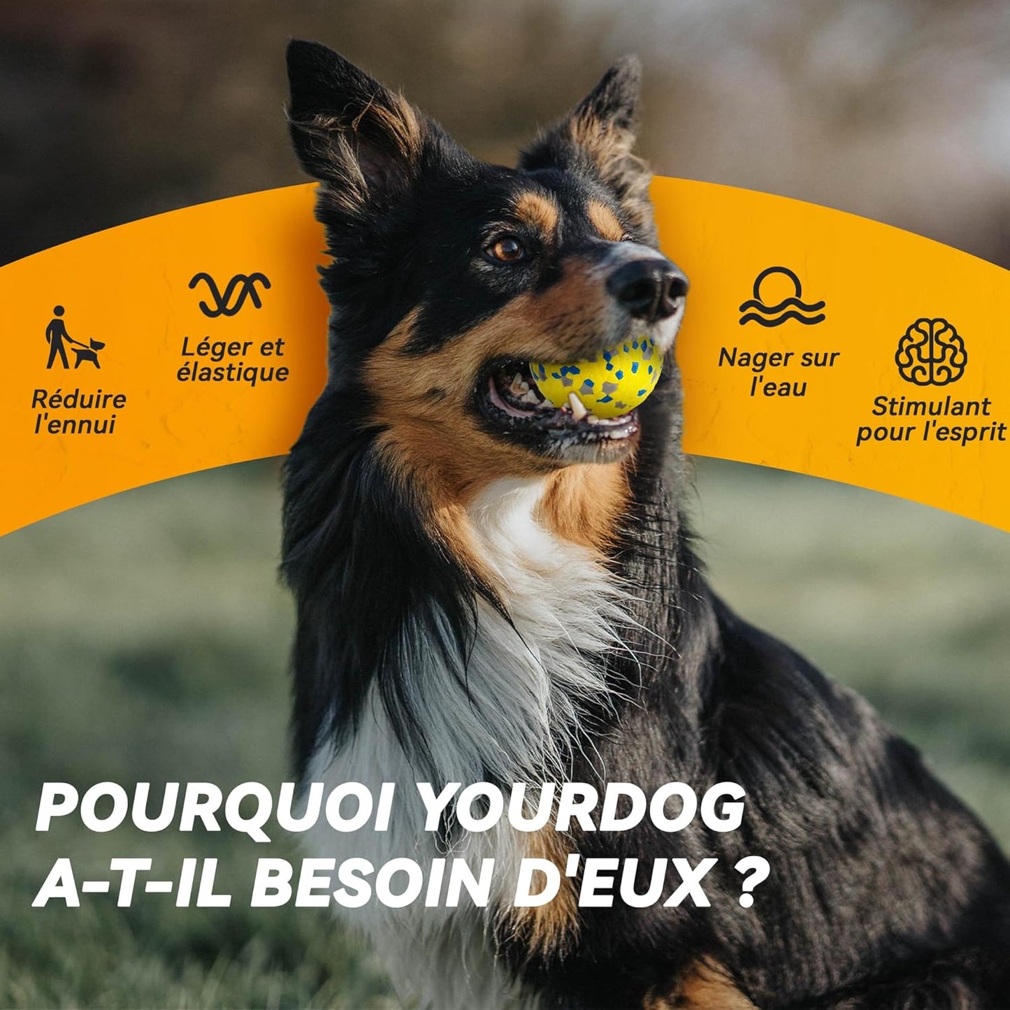 Balle Indestructible Pour Chien - Jouet Interactif Tennis Φ7 Cm