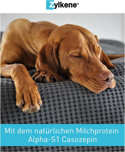 Zylkene 450 Mg - 50 Gélules (5 X 10 Gélules) - Complément Alimentaire Pour Chien Qui Aide À Gérer L'Anxiété Et Les Situations Stressantes