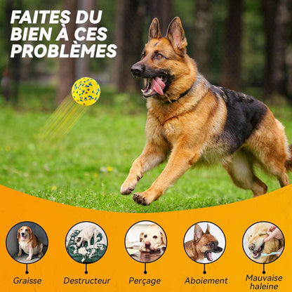 Balle Indestructible Pour Chien - Jouet Interactif Tennis Φ7 Cm