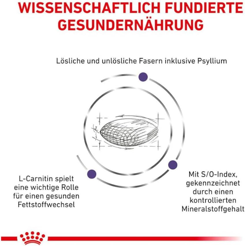 Royal Canin Expert Neutered Satiety Balance | 3,5 Kg | Alimentation Sèche Pour Chats Castrés Jusqu'À 7 Ans | Teneur En Nutriments Équilibrée | Maintien Du Poids Idéal