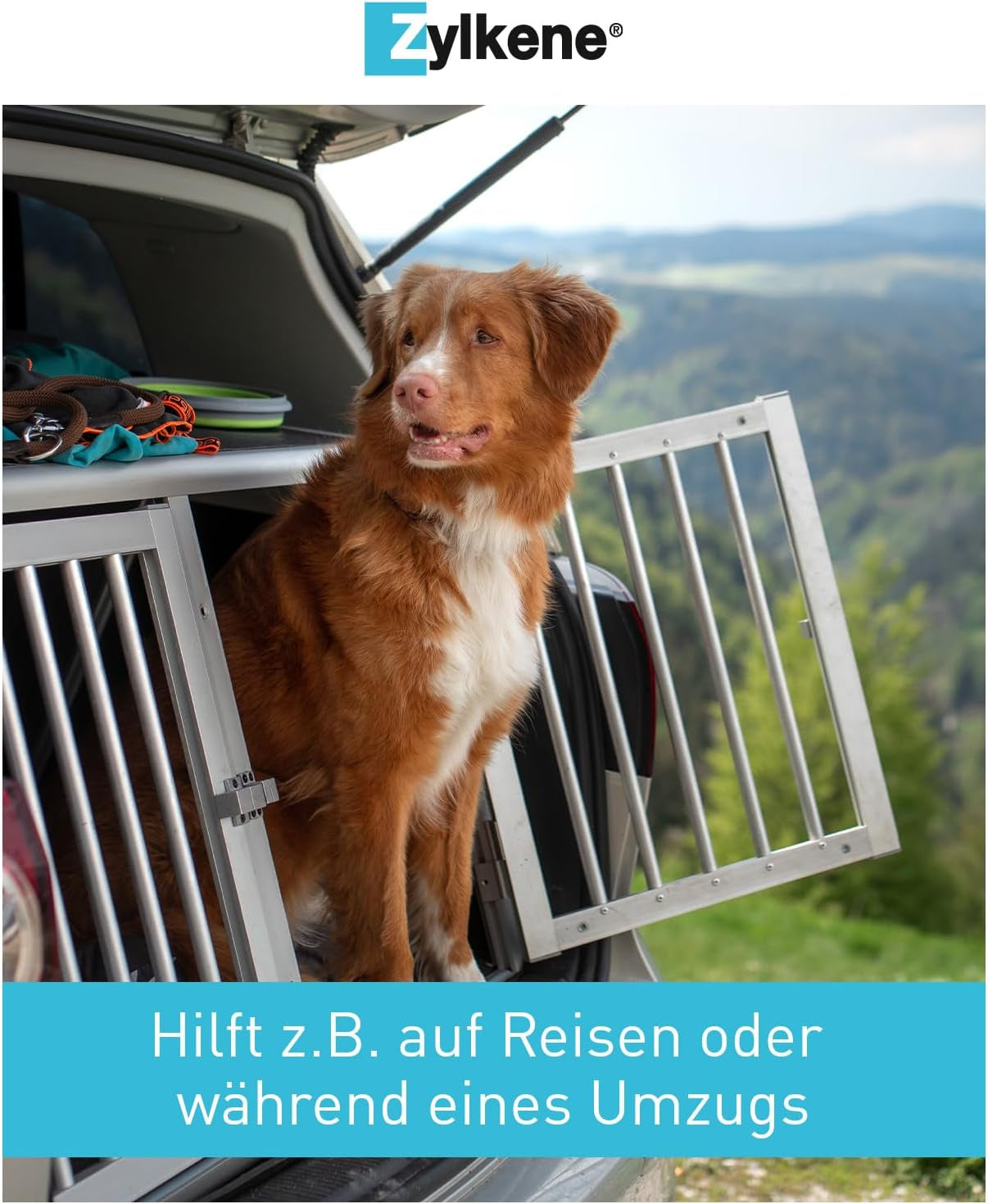 Zylkene 450 Mg - 50 Gélules (5 X 10 Gélules) - Complément Alimentaire Pour Chien Qui Aide À Gérer L'Anxiété Et Les Situations Stressantes
