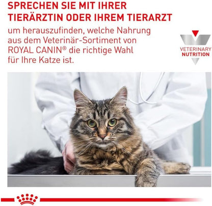 Royal Canin Expert Neutered Satiety Balance | 3,5 Kg | Alimentation Sèche Pour Chats Castrés Jusqu'À 7 Ans | Teneur En Nutriments Équilibrée | Maintien Du Poids Idéal