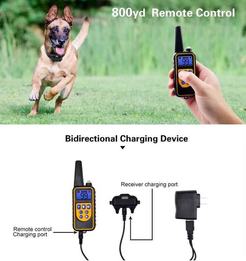 800M Electric Dog Training Collar Waterproof Pet Remote Control Rechargeable Training Dog Collar with Shock Vibration Sound