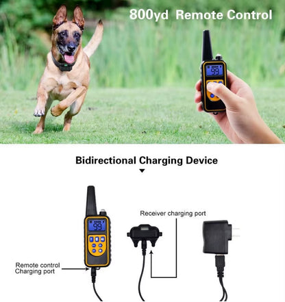 800M Electric Dog Training Collar Waterproof Pet Remote Control Rechargeable Training Dog Collar with Shock Vibration Sound