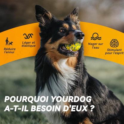 Balle Indestructible Pour Chien - Jouet Interactif Tennis Φ7 Cm