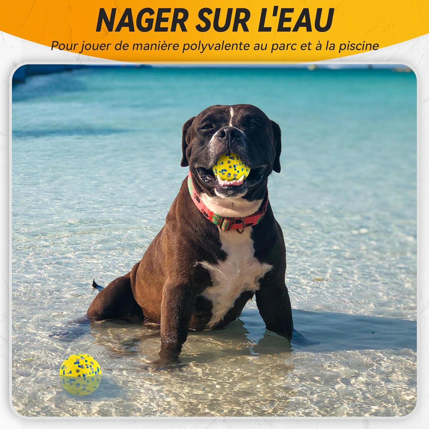 Balle Indestructible Pour Chien - Jouet Interactif Tennis Φ7 Cm