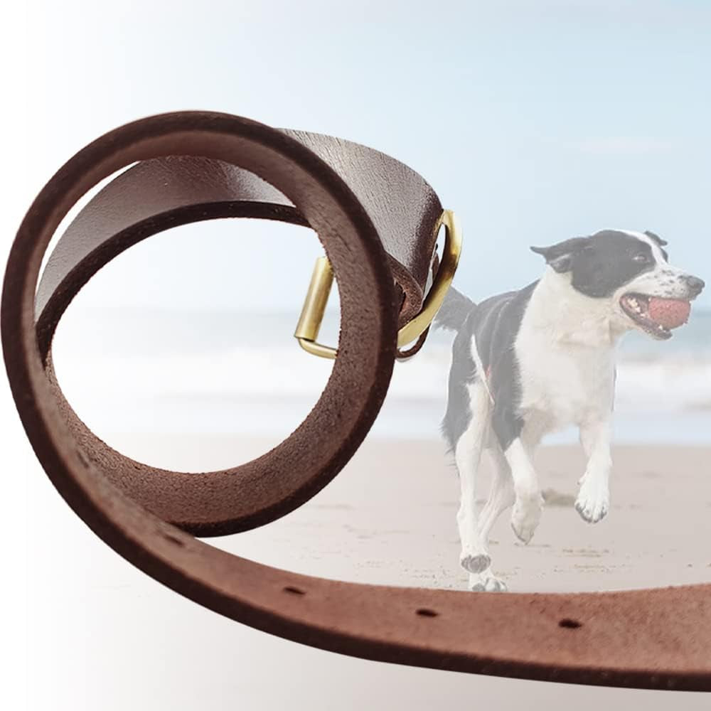 Collier Pour Chien En Cuir Marron - Très Résistant Pour Les Races Fortes, Tailles Moyennes Grandes/Xl Avec Matériel Renforcé - Résistant Aux Intempéries (M)