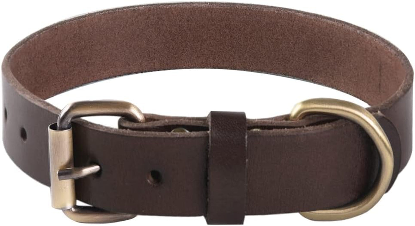 Collier Pour Chien En Cuir Marron - Très Résistant Pour Les Races Fortes, Tailles Moyennes Grandes/Xl Avec Matériel Renforcé - Résistant Aux Intempéries (M)