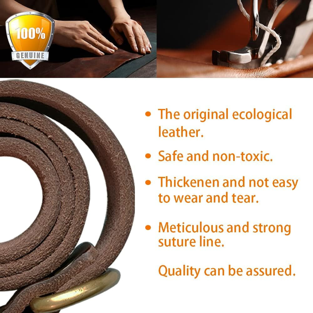 Collier Pour Chien En Cuir Marron - Très Résistant Pour Les Races Fortes, Tailles Moyennes Grandes/Xl Avec Matériel Renforcé - Résistant Aux Intempéries (M)