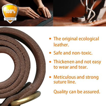 Collier Pour Chien En Cuir Marron - Très Résistant Pour Les Races Fortes, Tailles Moyennes Grandes/Xl Avec Matériel Renforcé - Résistant Aux Intempéries (M)