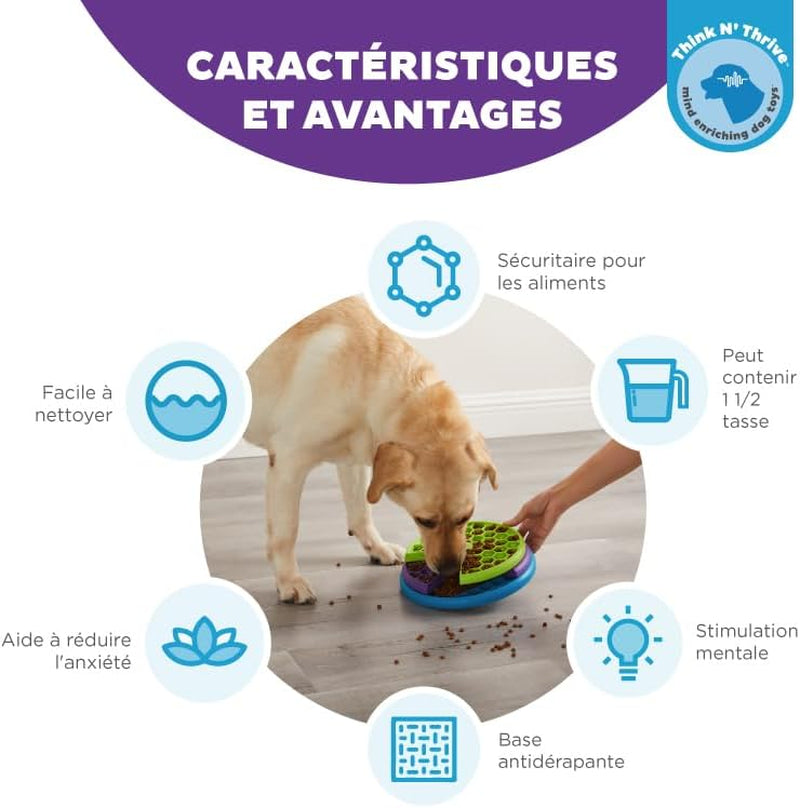 Nina Ottosson De Puzzle Interactif Et Gamelle Anti-Glouton Lickin' Layers Pour Chien