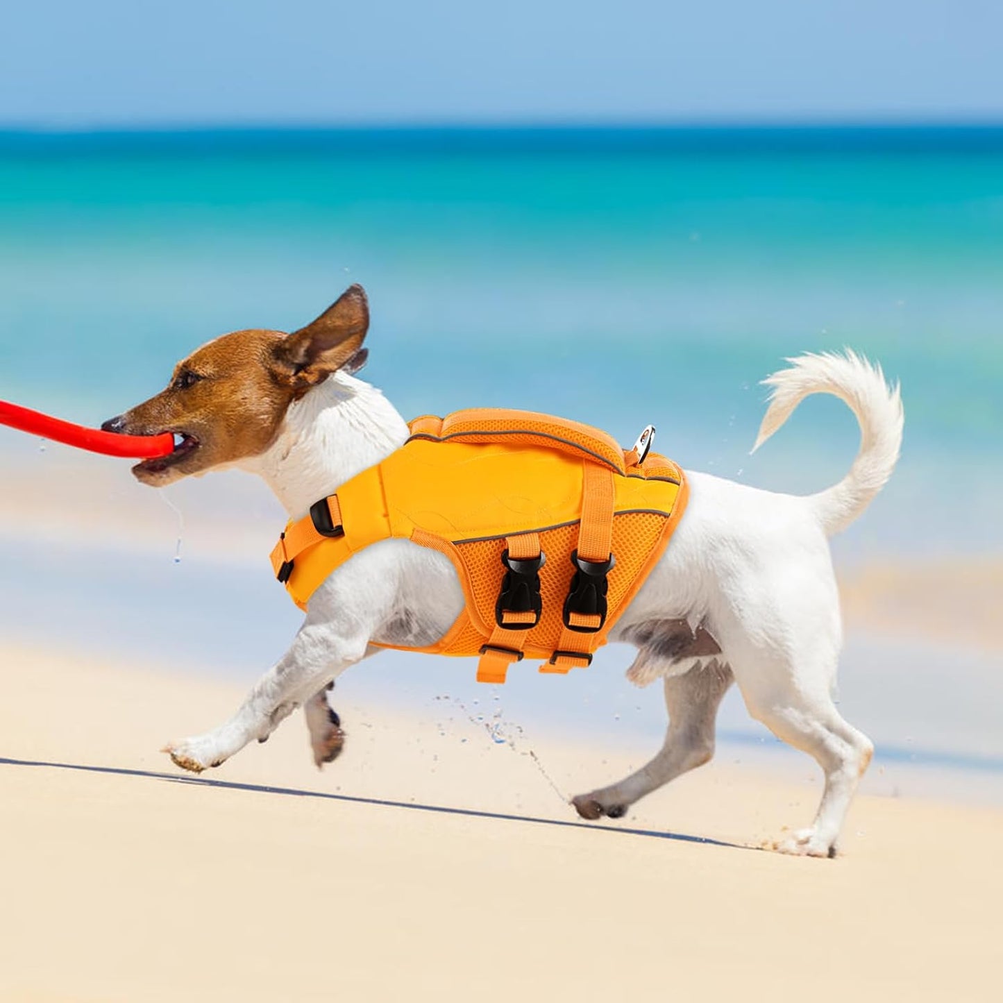 Gilet De Sauvetage Pour Chien, Flottabilité Intense, Haute Visibilité, Poignée De Sauvetage, Réglable, Orange, Small