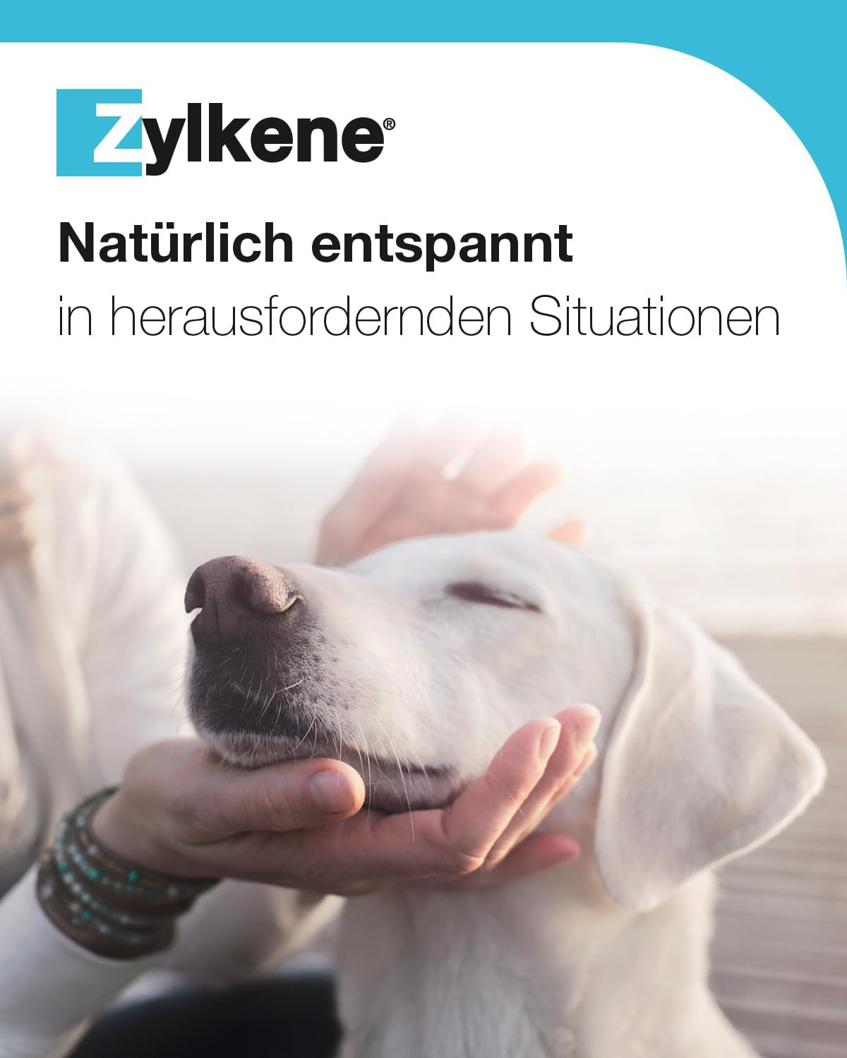 Vetoquinol Zylkene Chews 75 Mg | Lot De 2 Paquets De 14 Boulettes | Complément Alimentaire Pour Chiens Et Chats | plus De Bien-Être Dans Des Situations Inhabituelles
