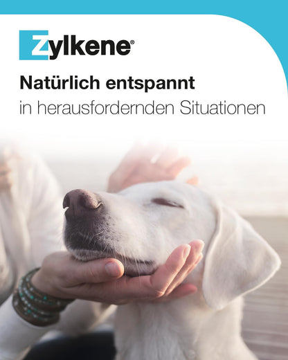 Vetoquinol Zylkene Chews 75 Mg | Lot De 2 Paquets De 14 Boulettes | Complément Alimentaire Pour Chiens Et Chats | plus De Bien-Être Dans Des Situations Inhabituelles