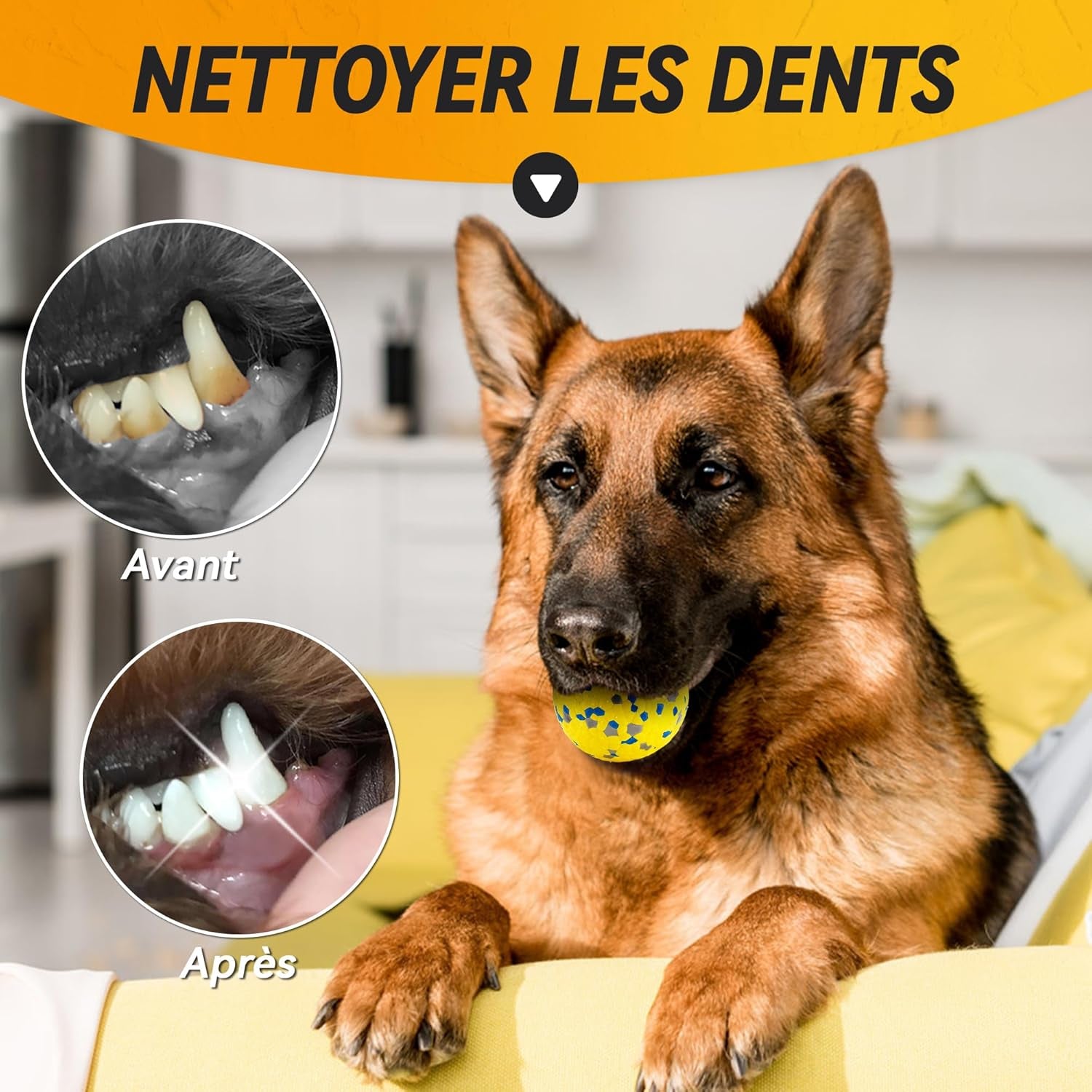 Balle Indestructible Pour Chien - Jouet Interactif Tennis Φ7 Cm