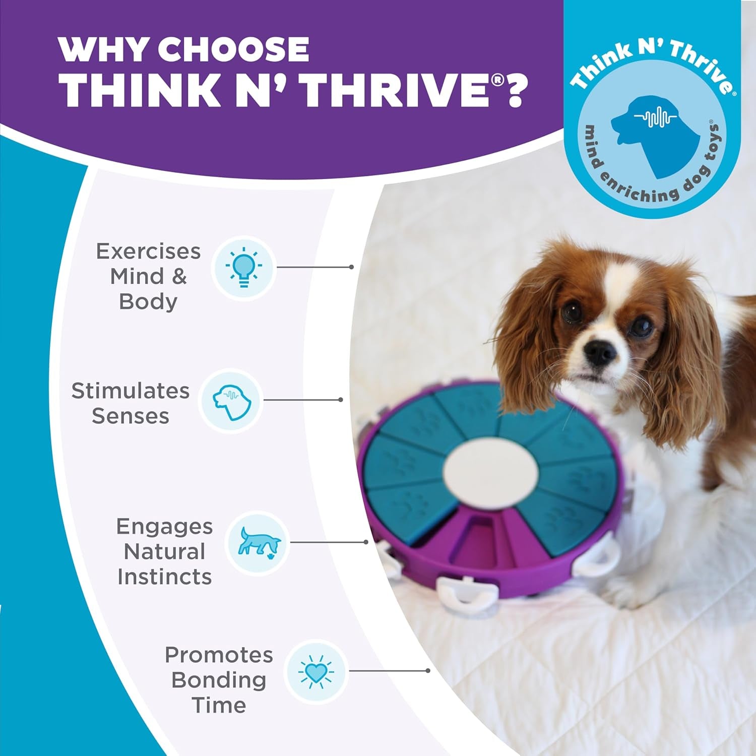 Nina Ottosson De Puzzle Pour Chien Dog Twister - Interactif/À Friandises - Niveau Avancé