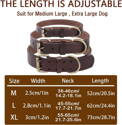 Collier Pour Chien En Cuir Marron - Très Résistant Pour Les Races Fortes, Tailles Moyennes Grandes/Xl Avec Matériel Renforcé - Résistant Aux Intempéries (M)