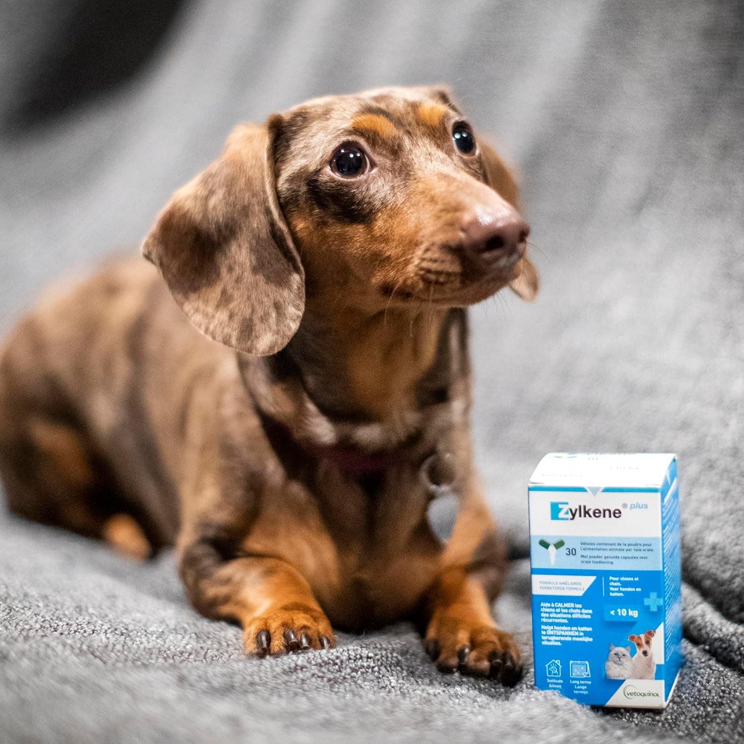 Zylkene plus Cani/Gatti 10 Kg 30 Capsule