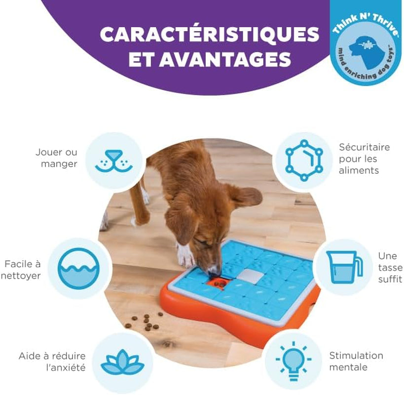 Nina Ottosson De Puzzle Challenge Slider Pour Chien - À Friandises/Interactif/Stimulant
